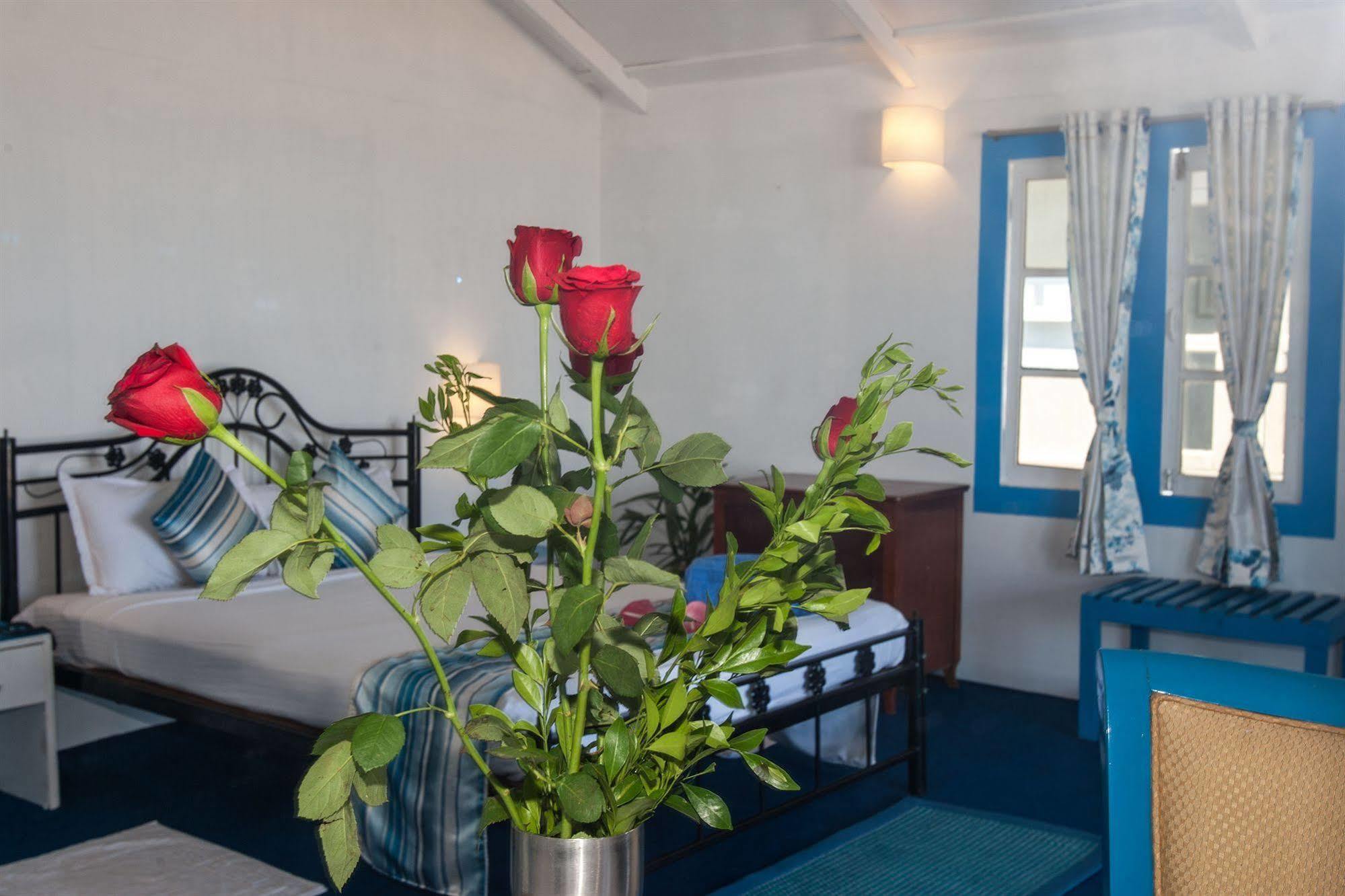 Cuba Agonda Bed & Breakfast Bagian luar foto